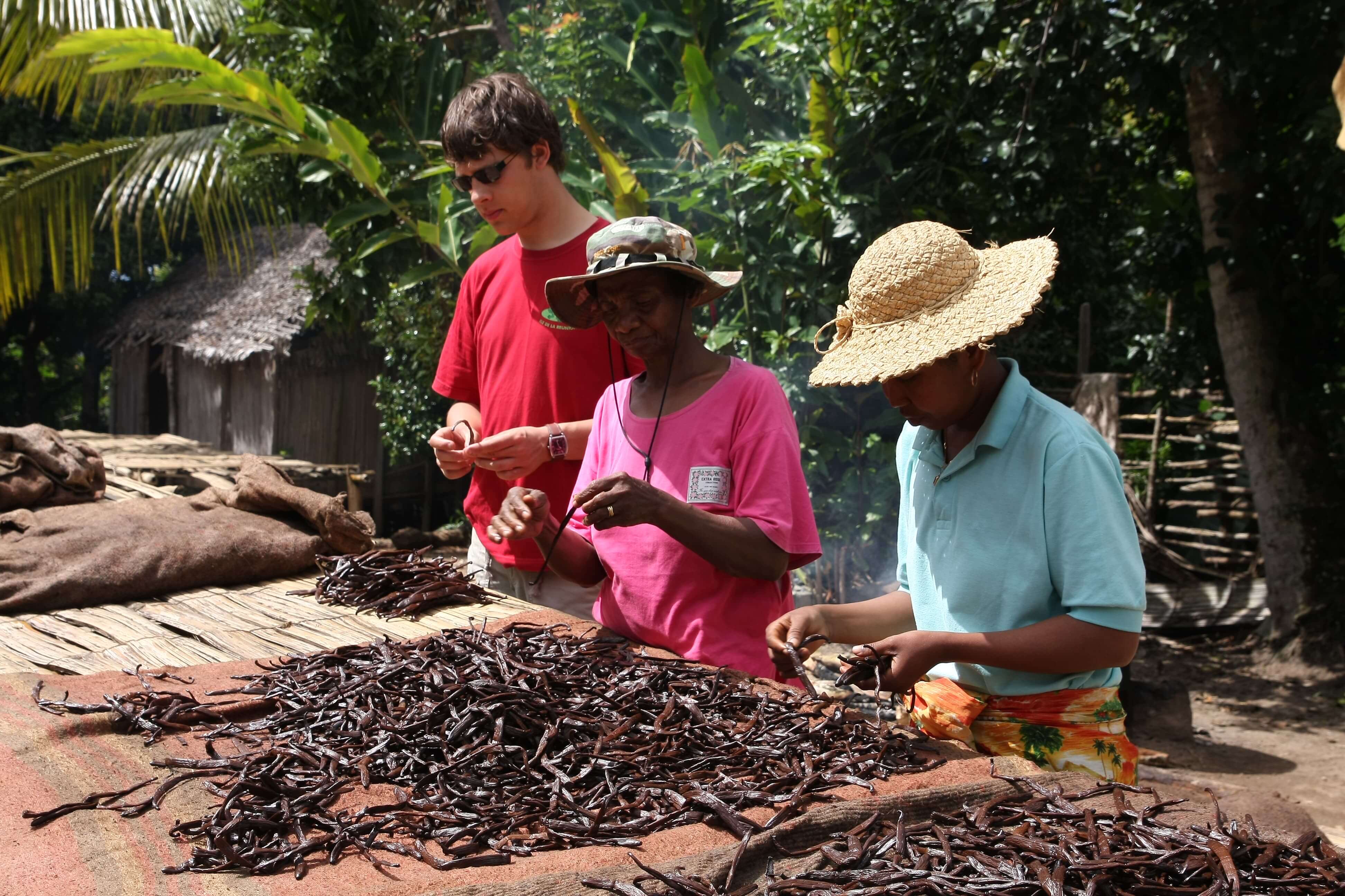 Arnaud Sion expert en Gousse de Vanille de Madagascar