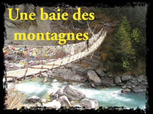 Acheter les meilleurs baies de timut