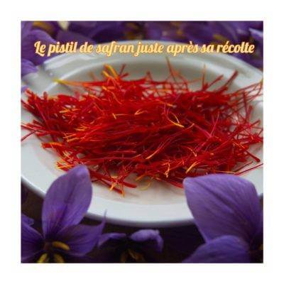 Acheter du safran pour mon restaurant