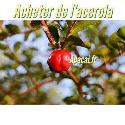 Ou trouver ou acheter de l'acérola
