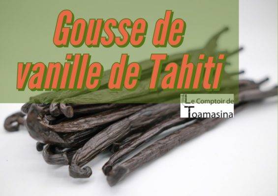 Tahiti Vanille, Vanille Tahitensis