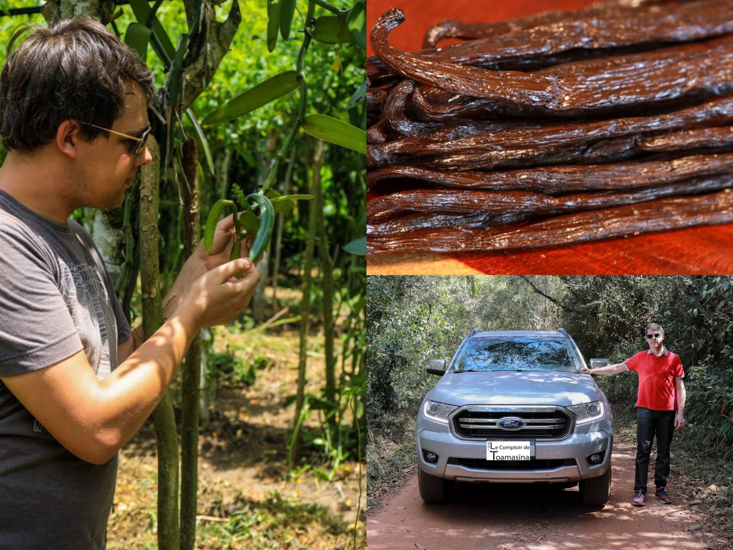 prix vanille madagascar 2019