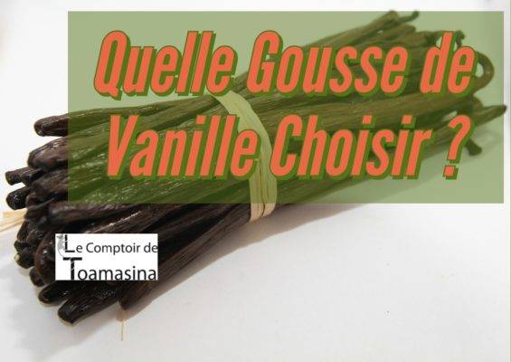 Quelle Gousse de Vanille Choisir Madagascar Tahiti, Papouasie et du Monde