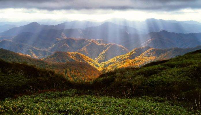Montagne ou pousse le poivre sansho au Japon