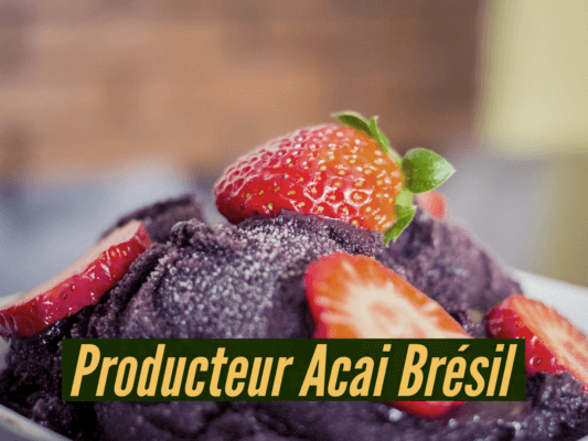 Producteur acai Brésil acheter l'açai abaçai