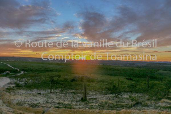 Route Vanille du Brésil
