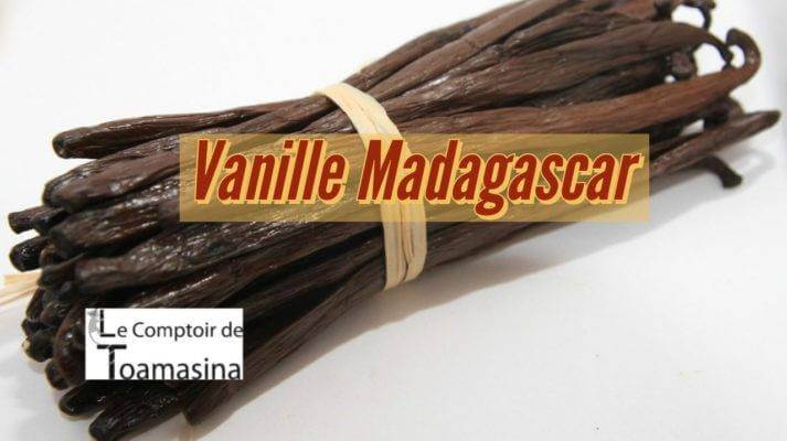 Gousse de vanille bourbon gold de Madagascar fraîche